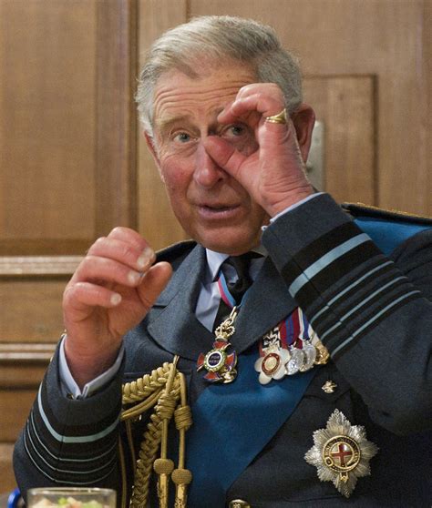 Prince Charles Over The Years Mirror Online