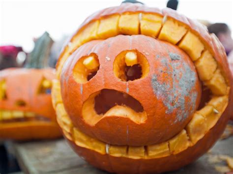 12 Funny Pumpkin Carving Ideas Hgtv