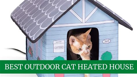 5 Best Outdoor Cat Heated House Buying Guide