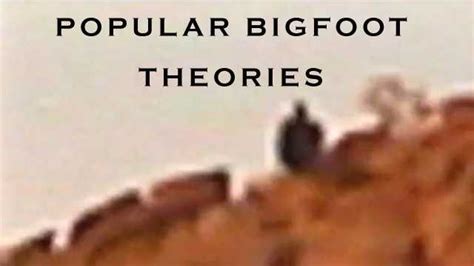 Popular Bigfoot Theories Myths