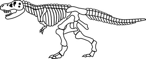 Dinosaur Skeleton To Color Clip Art Library