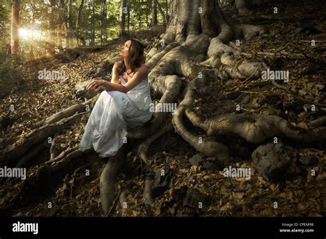 Junge Schöne Fee Frau Trägt Weißes Kleid Sitzt Auf Riesige Baumwurzeln In Einem Verzauberten