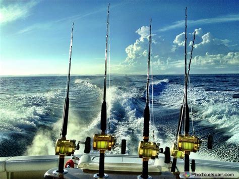 Sport Fishing Wallpapers Top Free Sport Fishing Backgrounds