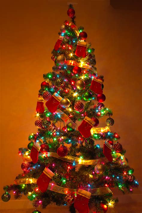 Filey Christmas Tree 2