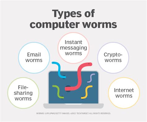 What Is A Computer Worm And How Does It Work