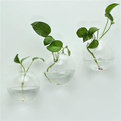 Sale 3 Pack Glass Wall Planters Indoor Plants Holder Wall Etsy