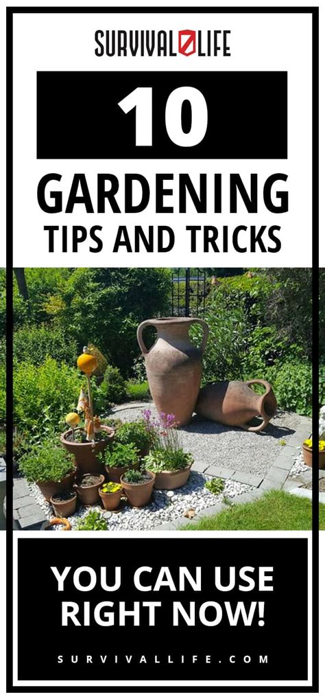 10 Gardening Tips And Tricks Everyone Should Know Survival Life