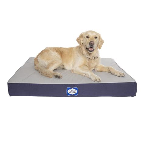 Sealy Beds Defender Water Resistant Dog Bed Royal Pooch
