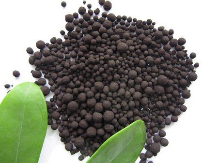 Use of organic substances and soil root exudates containing organic substances are important for conditioning the rhizosphere to. Feeding Container Plants