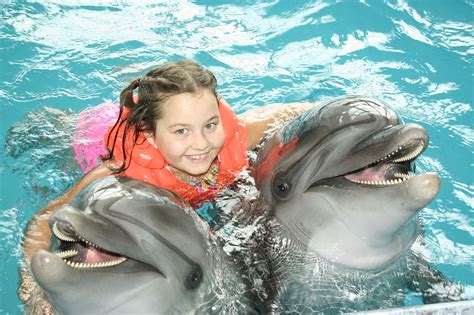 Dolphin Interaction Programs Please Read The Fine Print Dolphin Project