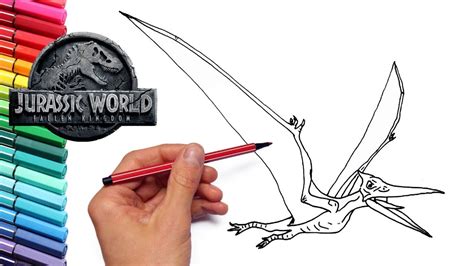 How To Draw Flying Dinosaur Pteranodon From Jurassic World Dinosaur