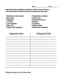Many of these simple cells also have eukaryotic cells are believed to have evolved from prokaryotic cells consuming one another. Prokaryotic And Eukaryotic Cells Worksheet Teaching ...