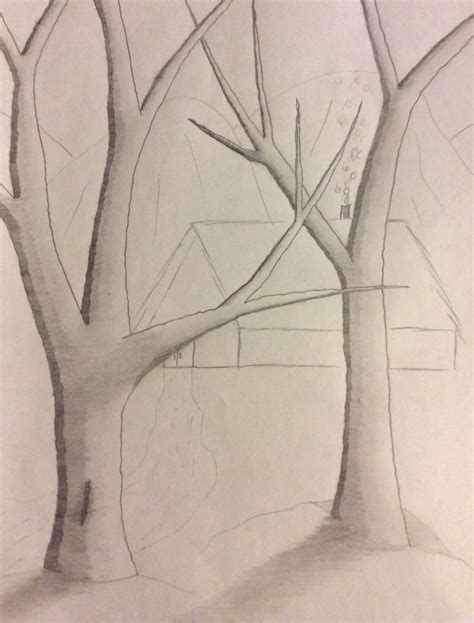 Drawing No Two Naked Trees Michael Kravchuk
