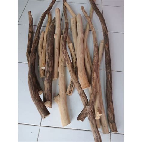 Jual Dahan Macrame Ranting Kayu Jati Kering 50 Cm Teak Wood