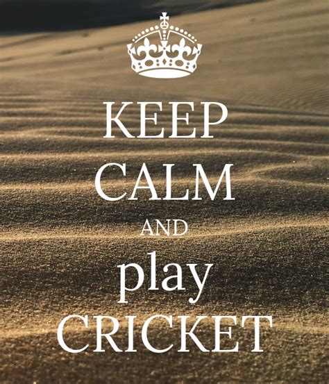 Keep Calm And Play Cricket Poster Sanjot Singh Keep Calm O Matic