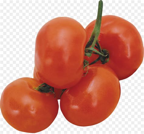Tomato Clip Art Tomatoes Png Download 510510 Free Transparent