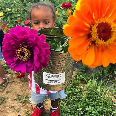 Pick your own flowers uk. Paulus Farm Market