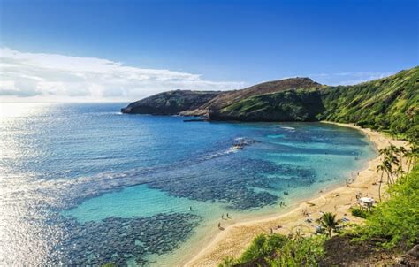 Oʻahus Best Beaches The Twin Fin Hotel