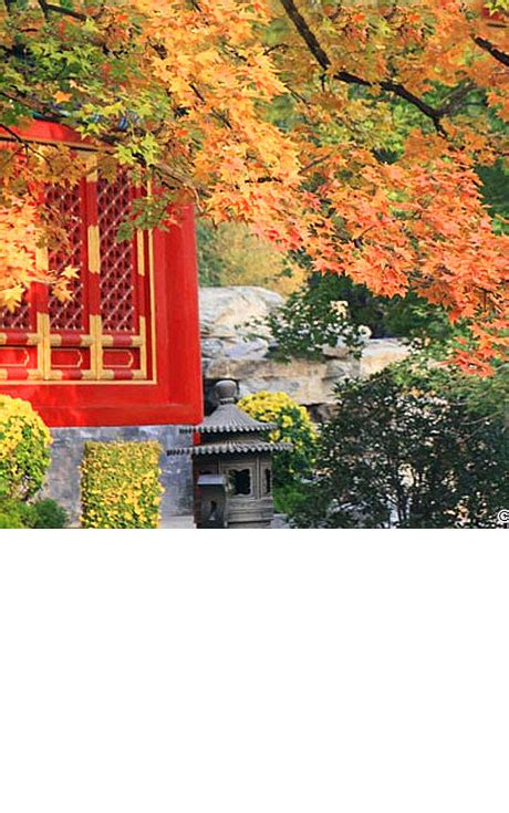 What Is On Oct Travel To Beijing During Autumn