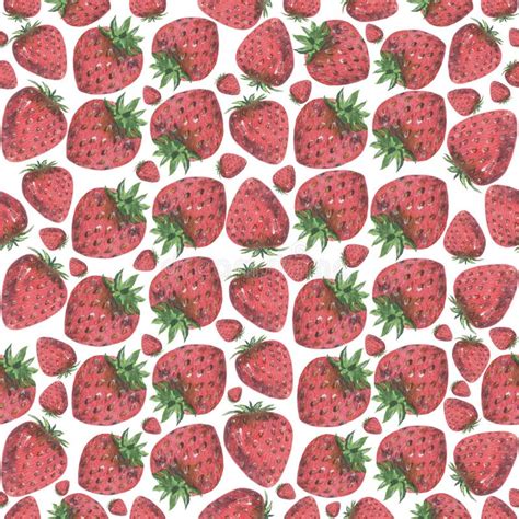 Seamless Pattern Strawberry Hand Painted Watercolor Stock Image
