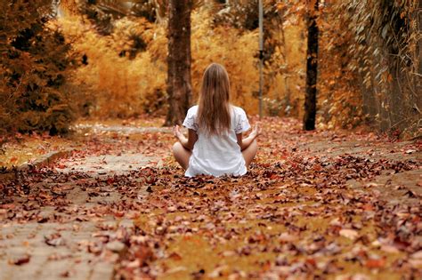 Meditating With The Seasons Autumn Well Rounded Guru