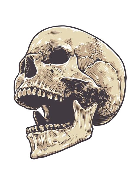 Anatomic Grunge Skull 334593 Vector Art At Vecteezy