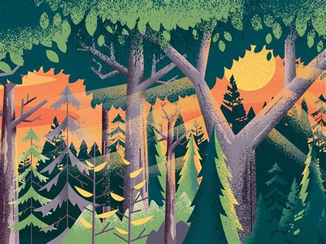 Forest Morning Forest Illustration Tree Illustration Nature