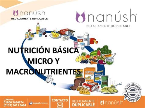 Qué son y cómo contarlos para disfrutar de cualquier comida de forma saludable contar macros es muy sencillo, ¡aplícalo en tus dietas! Calaméo - MULTINIVELES EN MEXICO NUTRICION BASICA MICRO Y MACRO NUTRIENTES