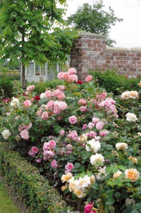10 Rose Garden Landscape Ideas