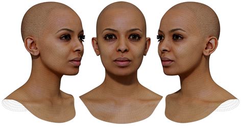 Female 3d Model Retopologised Head Scan 029