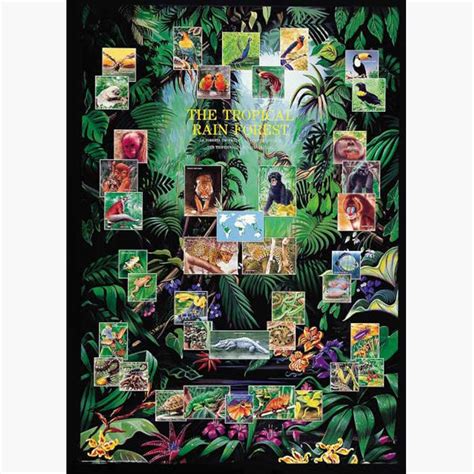 Εκπαιδευτικές Αφίσες - The Tropical Rain Forest | Η Πηγή της Αφίσας