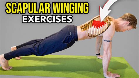 Exercises For Scapular Winging Serratus Anterior Muscle