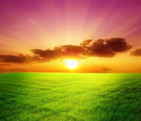 Green Field And Beautiful Sunset Stock Photo Image Of Meadow Farm