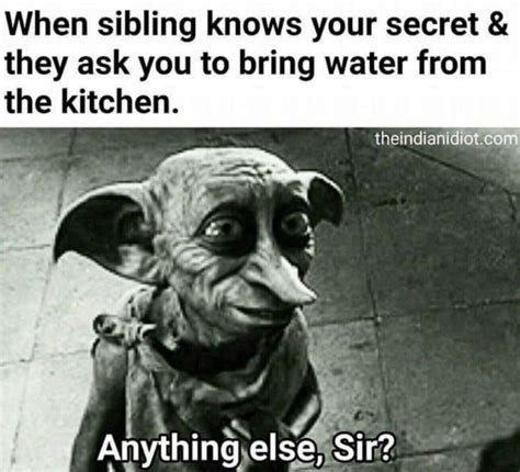 Siblings Memes That Parents Can Relate — Funny Pictures