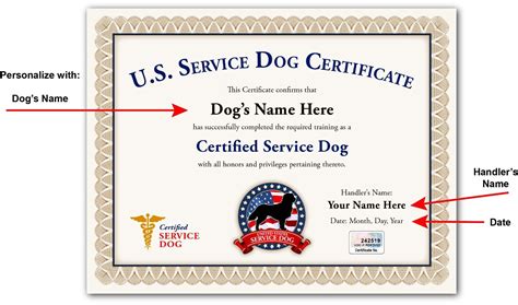 Service Dog Certificate Personalized Usa Emotional Support Therapy