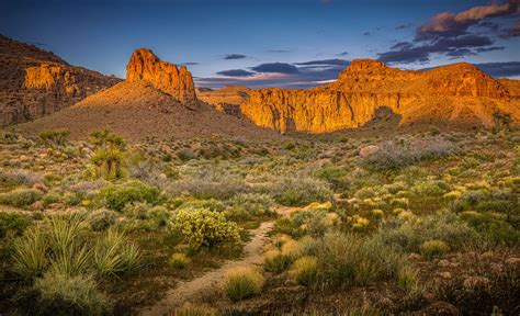 Mojave National Preserve Adam Elliott Photography