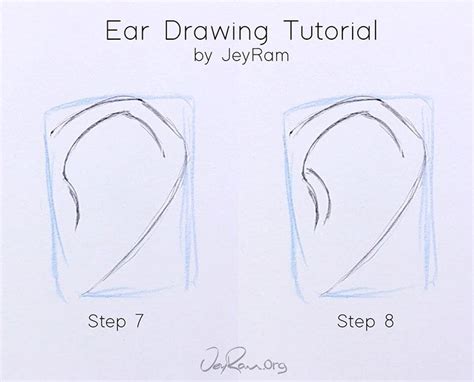 How To Draw The Ear From The Side Step By Step Tutorial For Beginners