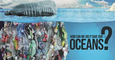 How Can We Help Save Our Oceans Rtf Rethinking The Future