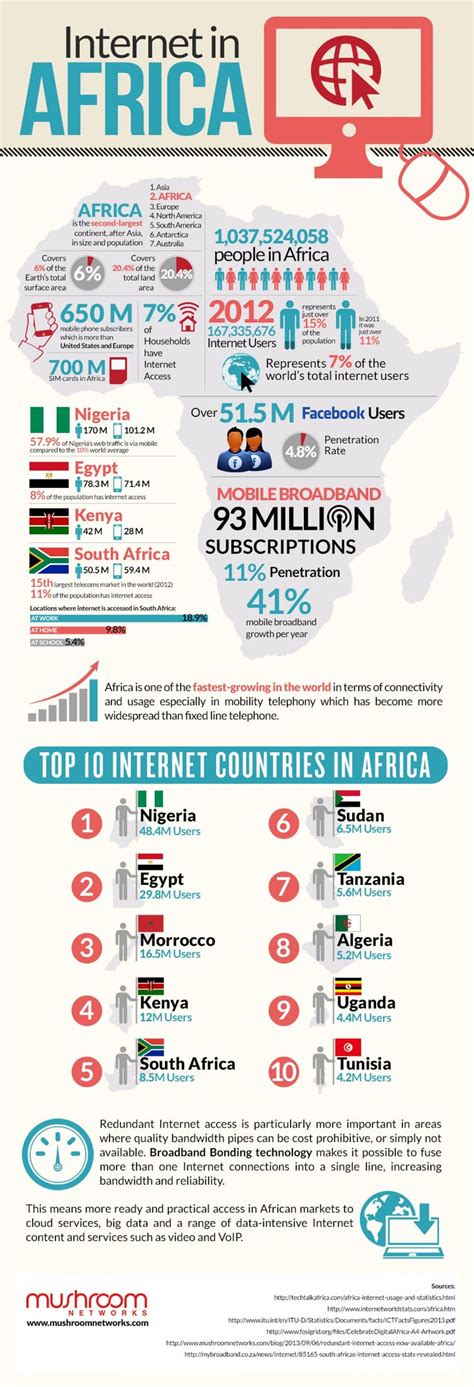 Stunning Info Graphics About Africans On Social Media