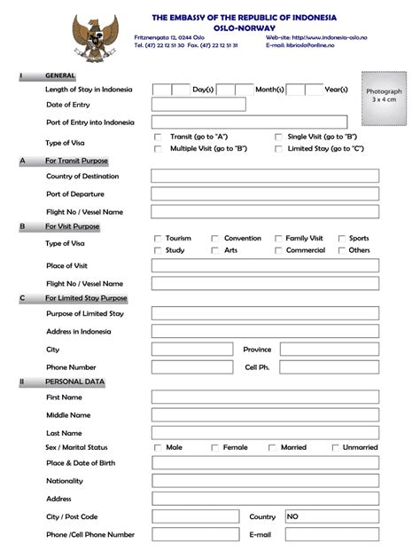 Indonesia Visa On Arrival Form Pdf Fill Out And Sign Online Dochub