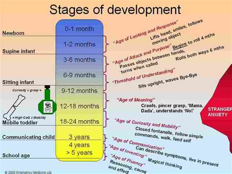 The Developing Childs Brain Parenting