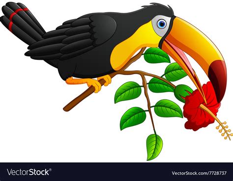 Funny Toucan Bird Cartoon Royalty Free Vector Image