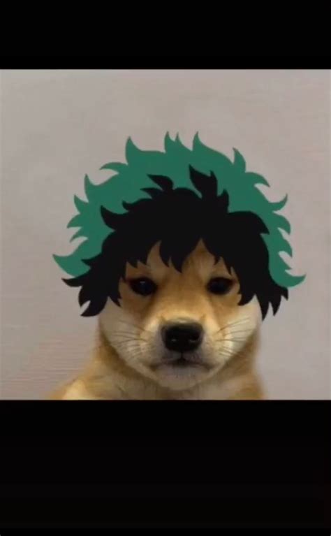 Pin By Madu Tavares On My Hero Academia Dog Icon Anime Dog Pfp