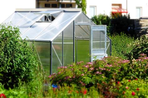 What Is The Difference Between A Greenhouse And Hothouse Own Gardening