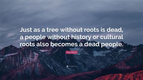 Malcolm X Quote: “Just as a tree without roots is dead, a people