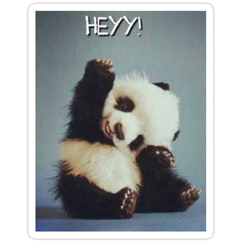Baby Panda Hey Cute Bear Tumblr Stickers By Ipan Redbubble