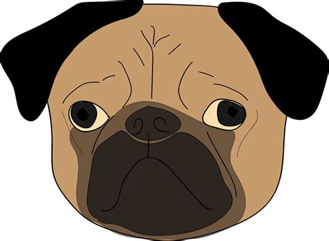 Pug Puppy Dog Free Vector Graphic On Pixabay
