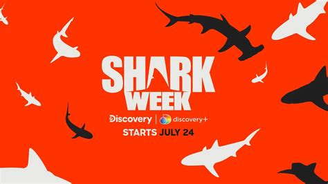 How To Watch Shark Week Without Cable