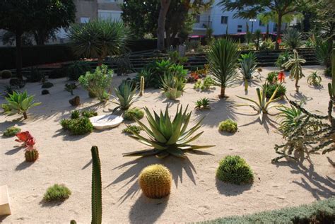 Awesome Desert Landscaping Ideas With Lovely Desert Plants