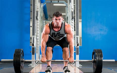 lean bulking machine maximize lean muscle growth and minimize fat gains